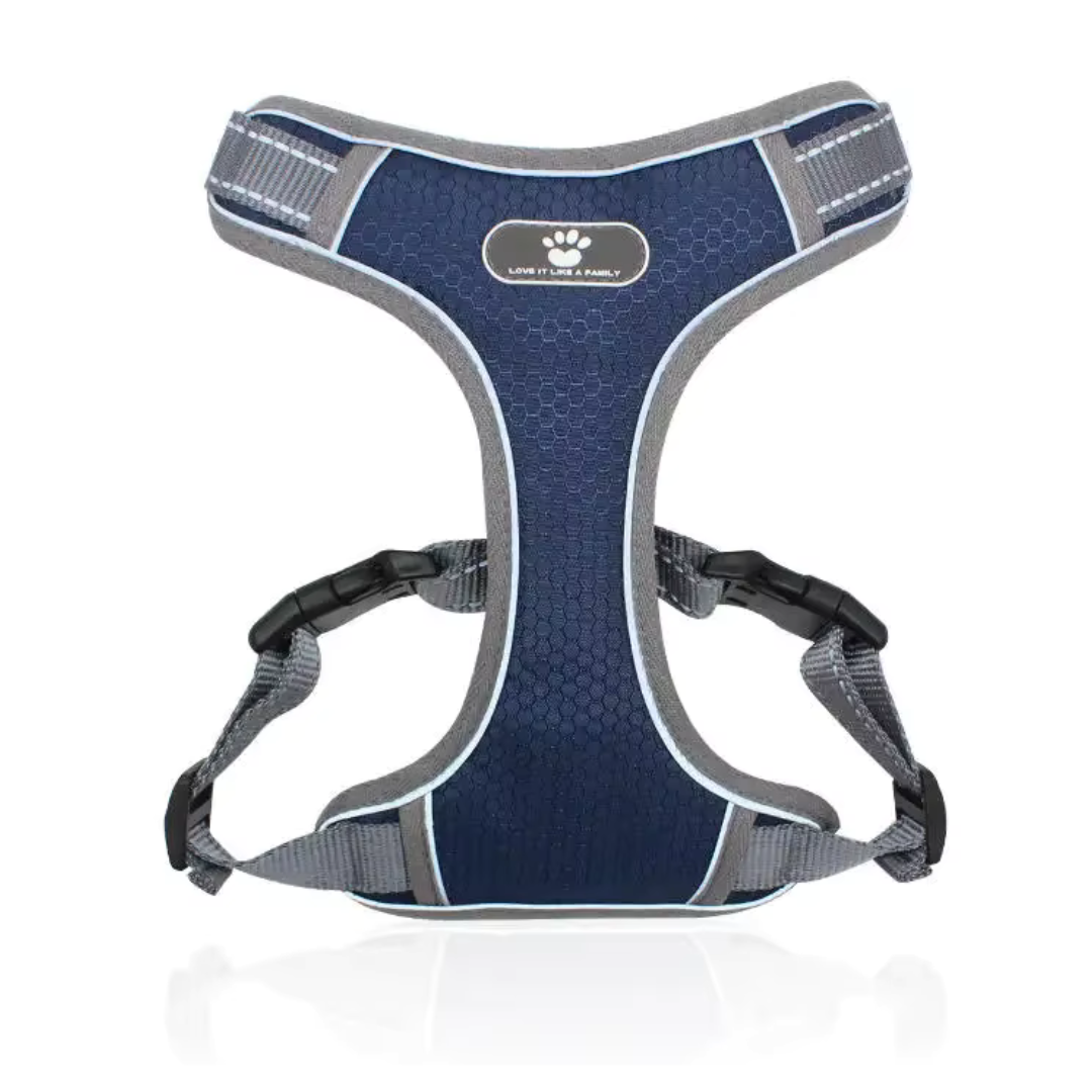 Diseño sin título – 2024-08-26T133318.423 Diseño sin título – 2024-08-26T133318.423