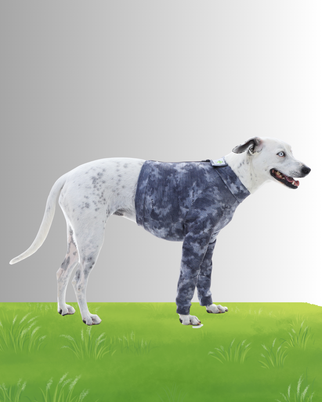 Diseño sin título – 2025-08-18T153543.650 Diseño sin título – 2025-08-18T153543.650