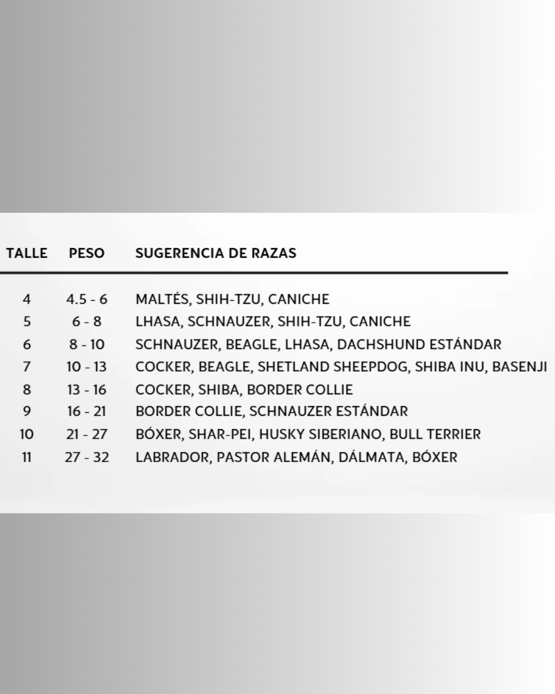 Diseño sin título – 2025-08-18T153634.646 Diseño sin título – 2025-08-18T153634.646